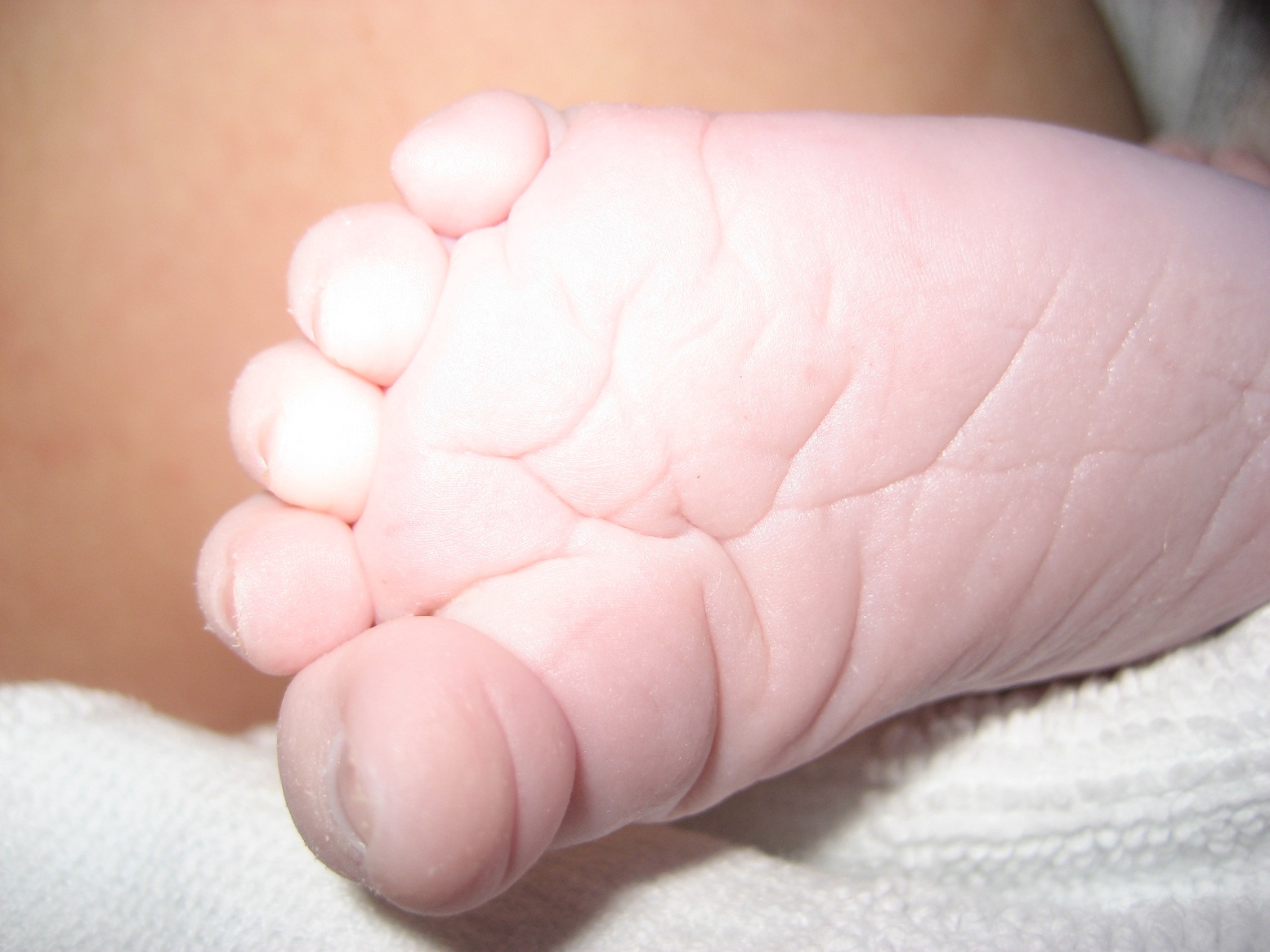 Lapsilisät ovat kaikkien oikeus